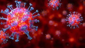 Résultat de recherche d'images pour "coronavirus"